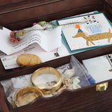 The 2-in-1 Keepsake Case Edition 2